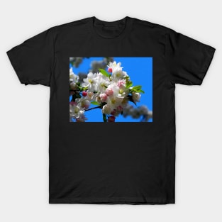 Blossoms T-Shirt